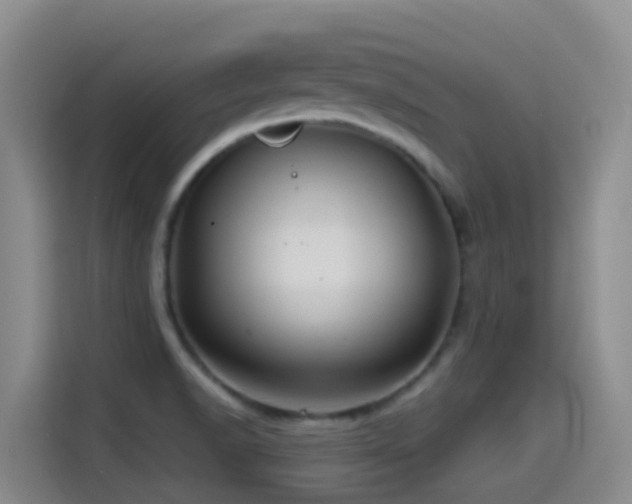 X0000114611518200910201142