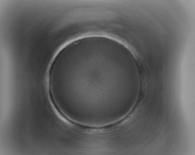 X0000114611519200910201142