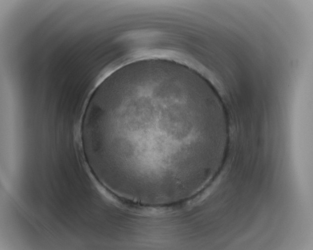 X0000114611521200910201142