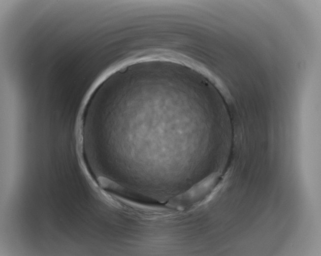 X0000114611522200910201142