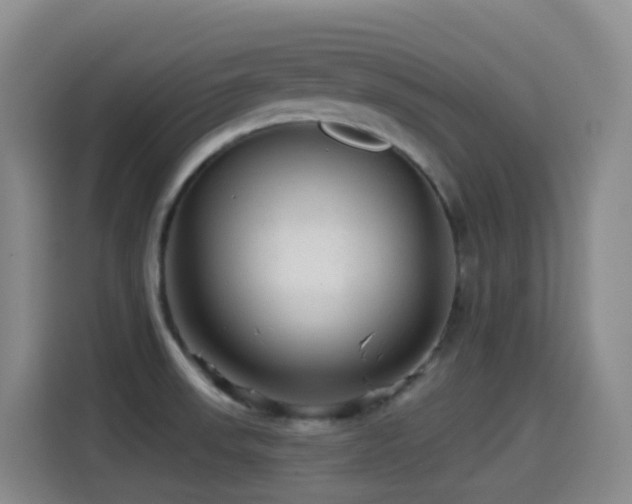 X0000114611523200910201142