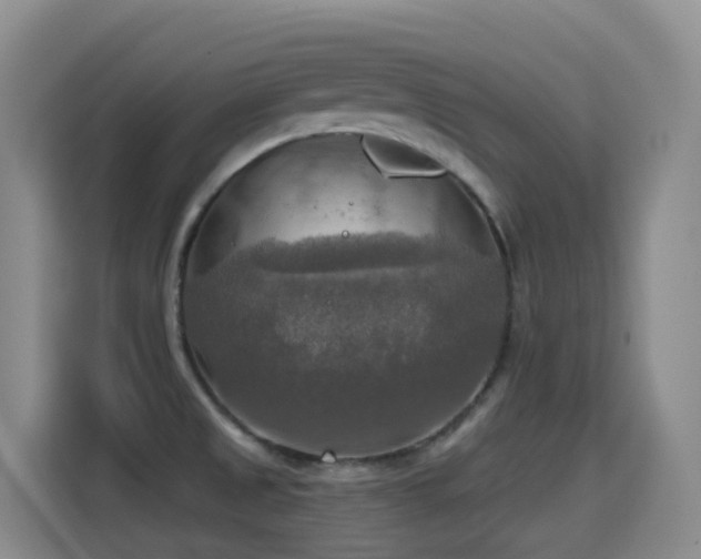 X0000114611525200910201142