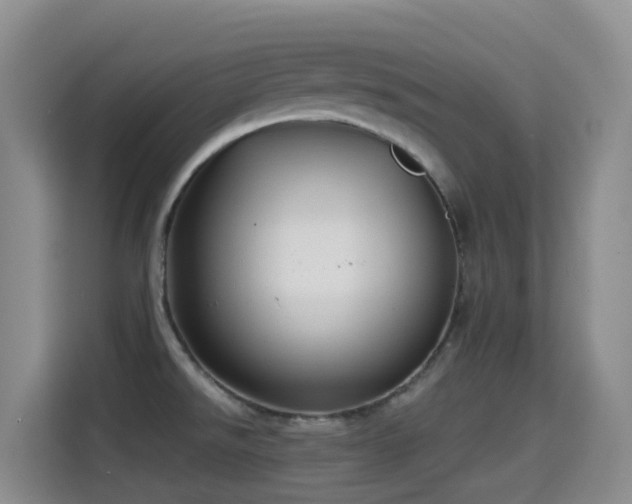 X0000114611526200910201142