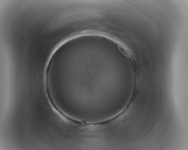 X0000114611527200910201142