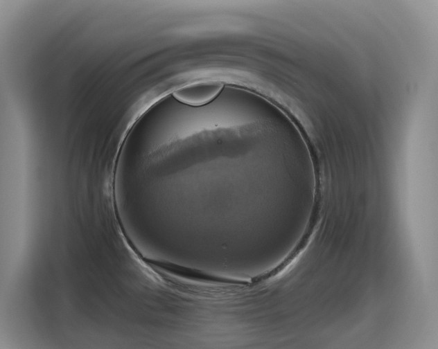 X0000114611529200910201142