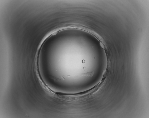 X0000114611530200910201142