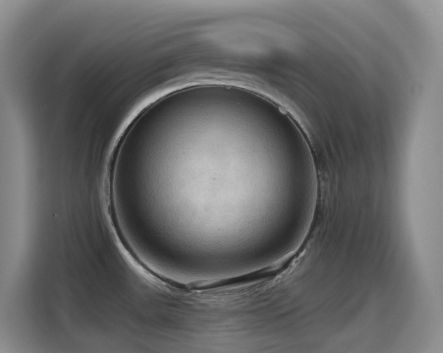 X0000114611531200910201142