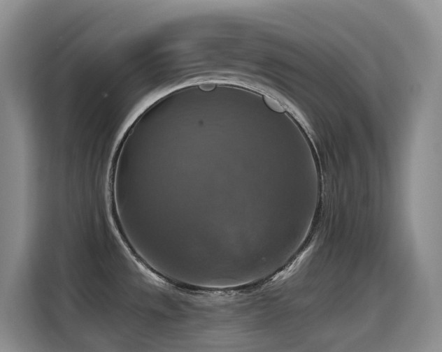 X0000114611533200910201142