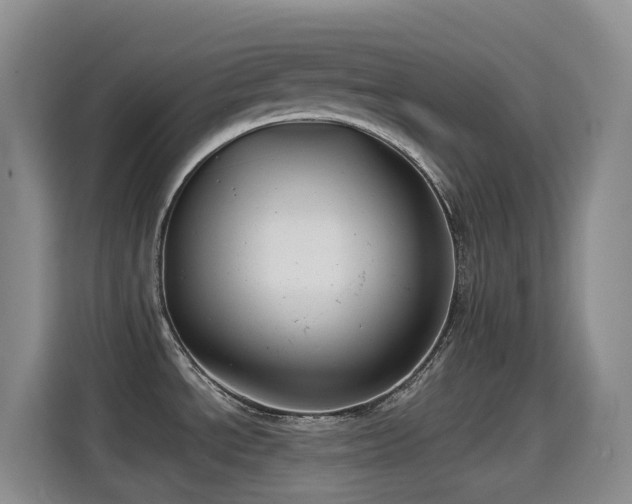 X0000114611534200910201142