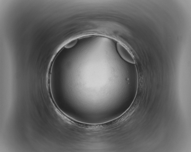 X0000114611535200910201142