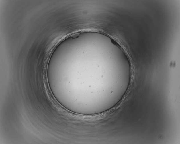 X0000114610001200911101202