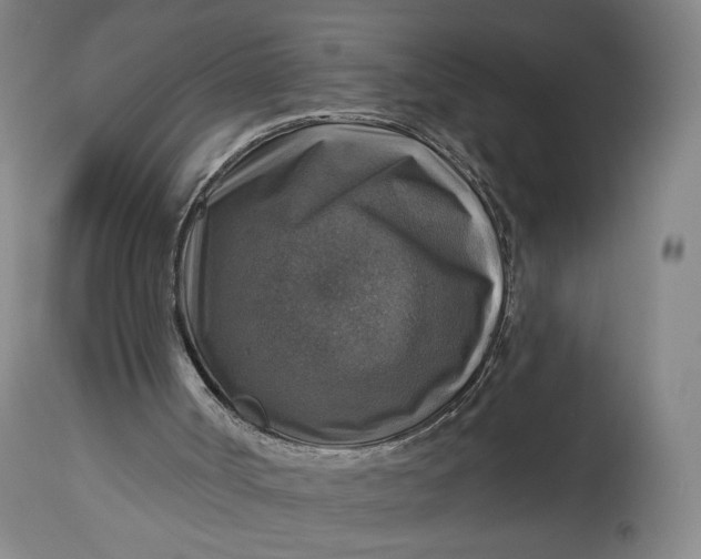 X0000114610002200911101202