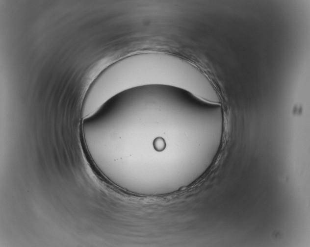 X0000114610003200911101202