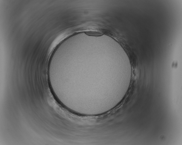 X0000114610004200911101202