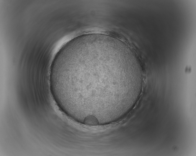 X0000114610006200911101202