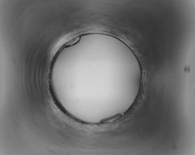 X0000114610007200911101202