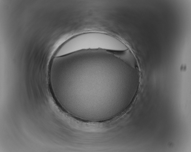 X0000114610008200911101202