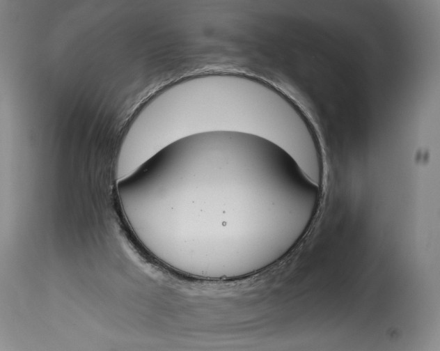 X0000114610009200911101202