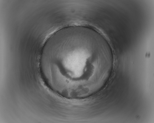 X0000114610010200911101202