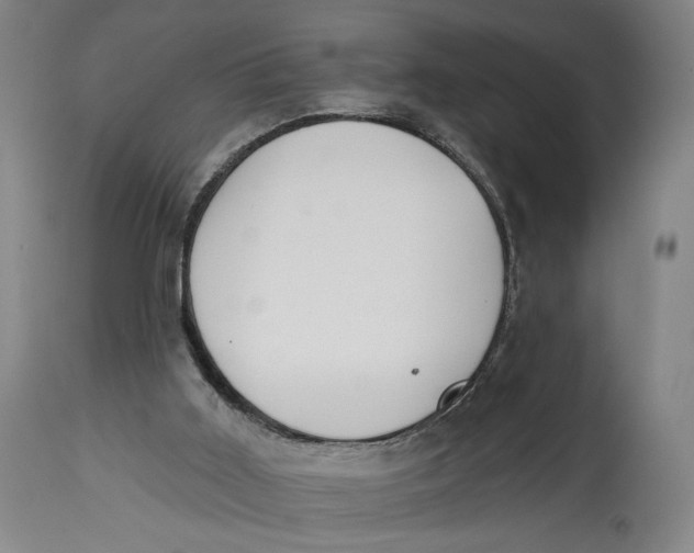 X0000114610011200911101202