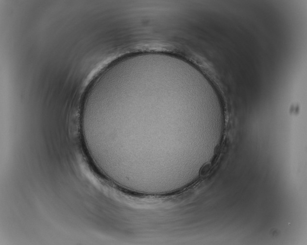 X0000114610012200911101202