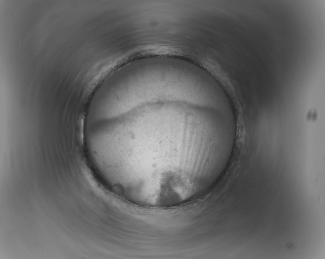 X0000114610014200911101202