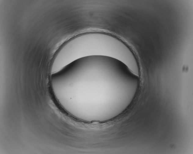 X0000114610015200911101202