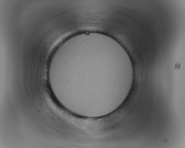 X0000114610016200911101202