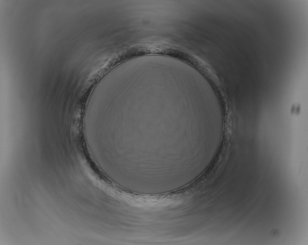 X0000114610018200911101202