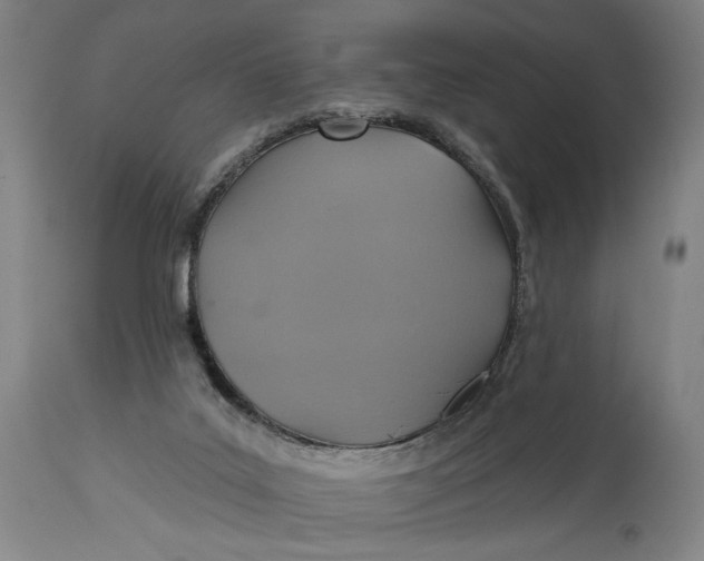 X0000114610019200911101202