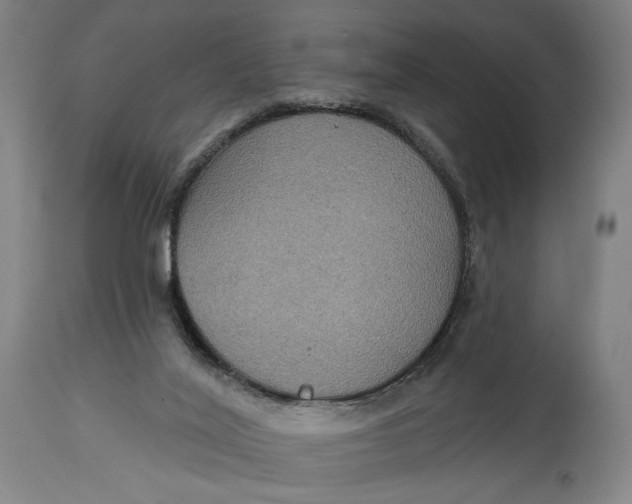 X0000114610020200911101202