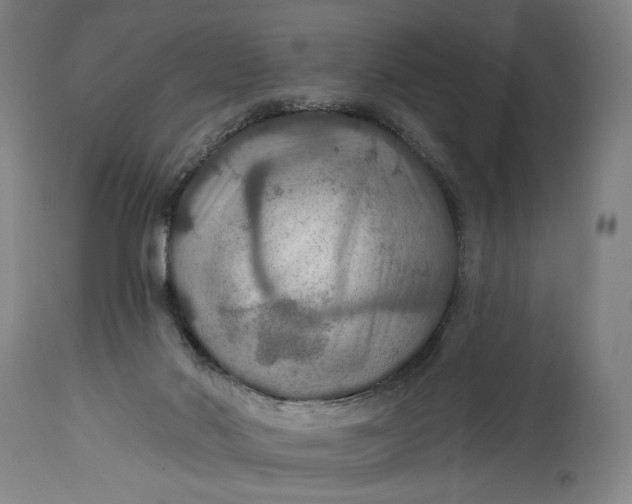 X0000114610022200911101202