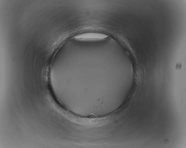 X0000114610023200911101202