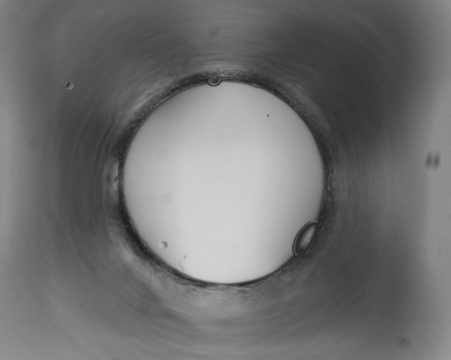 X0000114610024200911101202