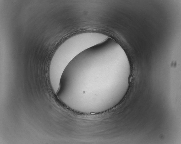 X0000114610025200911101202