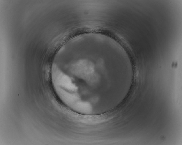 X0000114610026200911101202