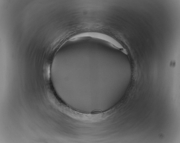 X0000114610027200911101202