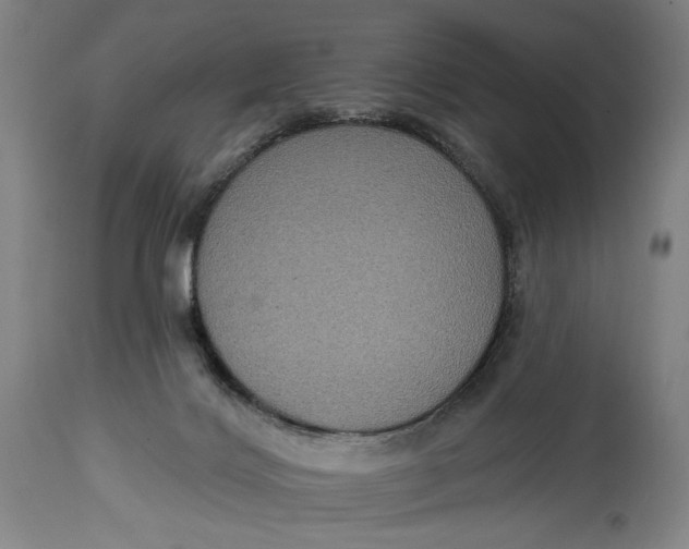 X0000114610028200911101202