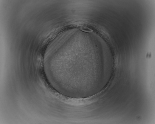 X0000114610029200911101202