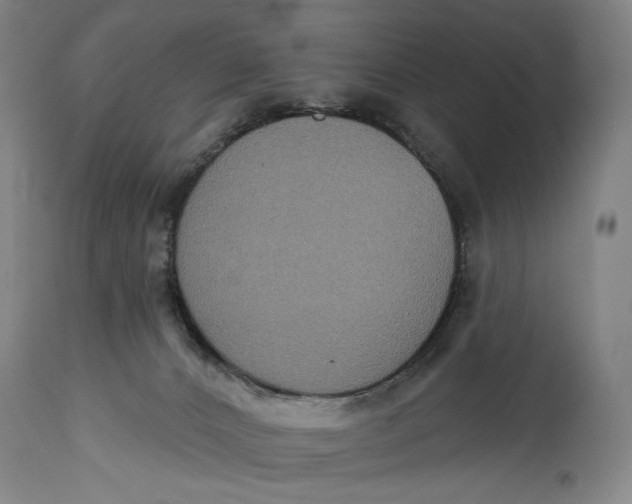 X0000114610032200911101202