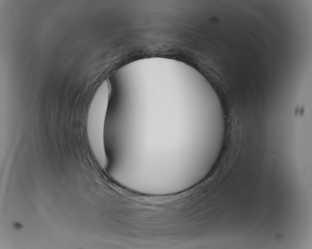 X0000114610033200911101202