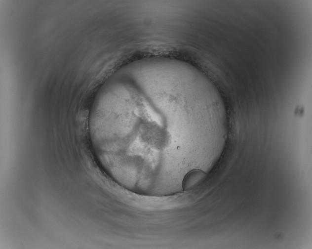 X0000114610034200911101202