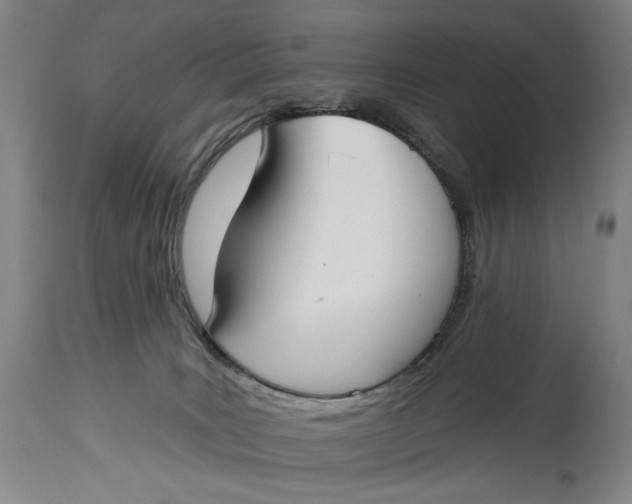 X0000114610035200911101202