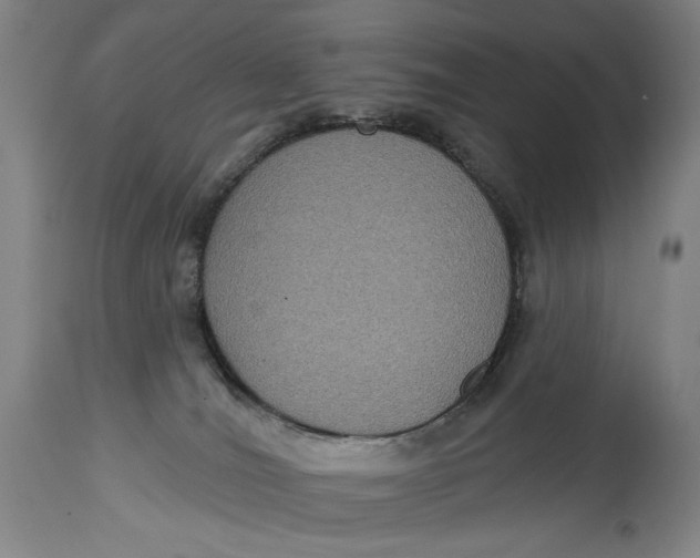 X0000114610036200911101202