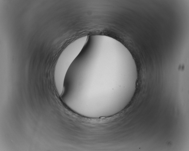 X0000114610037200911101202