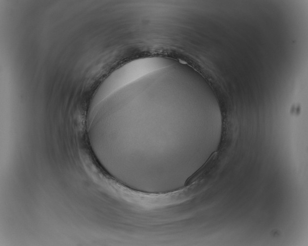 X0000114610039200911101202