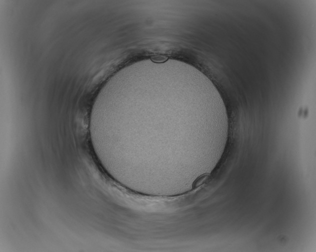 X0000114610040200911101202