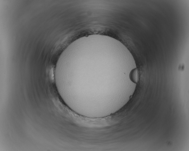 X0000114610042200911101202