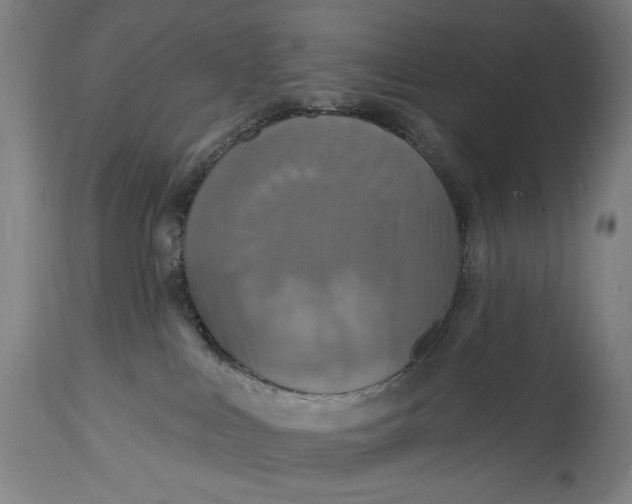 X0000114610043200911101202