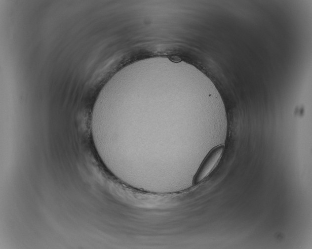 X0000114610044200911101202